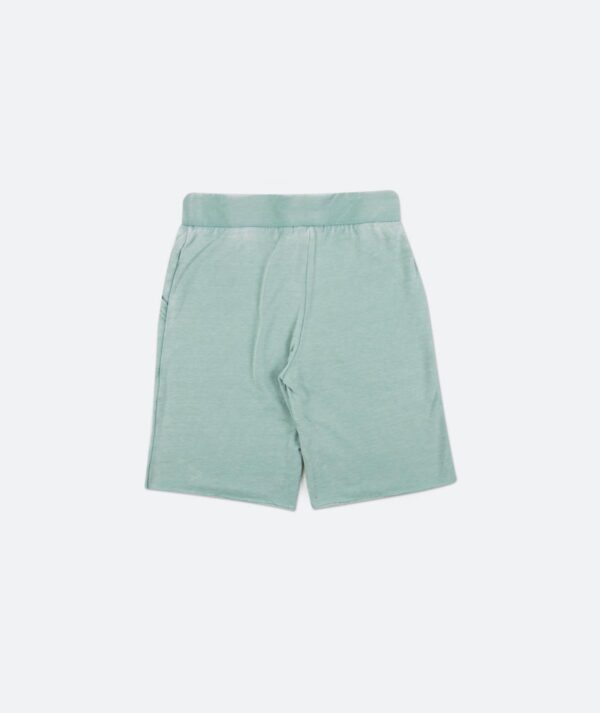 Victory Shorts for Men – Comfortable & Stylish Athletic Wear